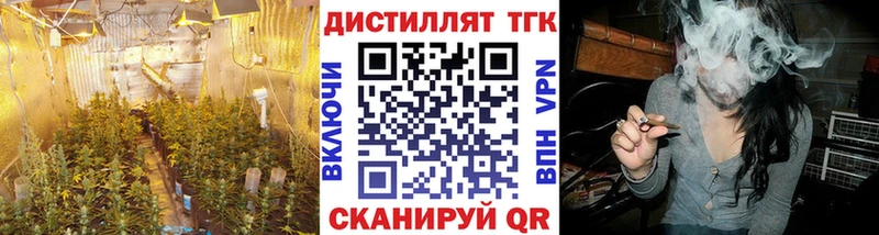 Купить закладки  Бикин  ТГК жижа 