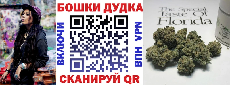 Бошки Шишки сатива  Купить закладки  Бикин 